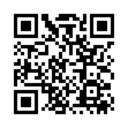 QR code for Bypass Level Indicator - Pressure Test & Visual Inspection - Germany
