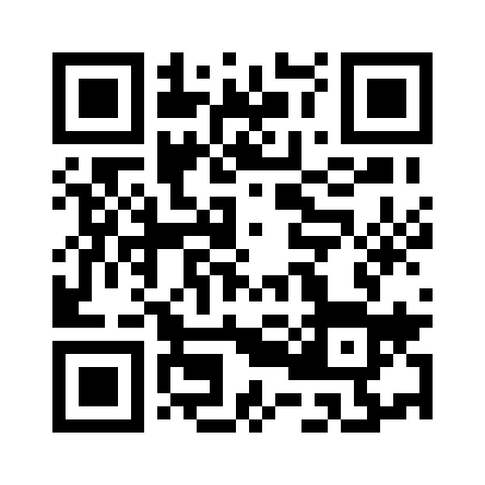QR code for Spot Inspections - Germany